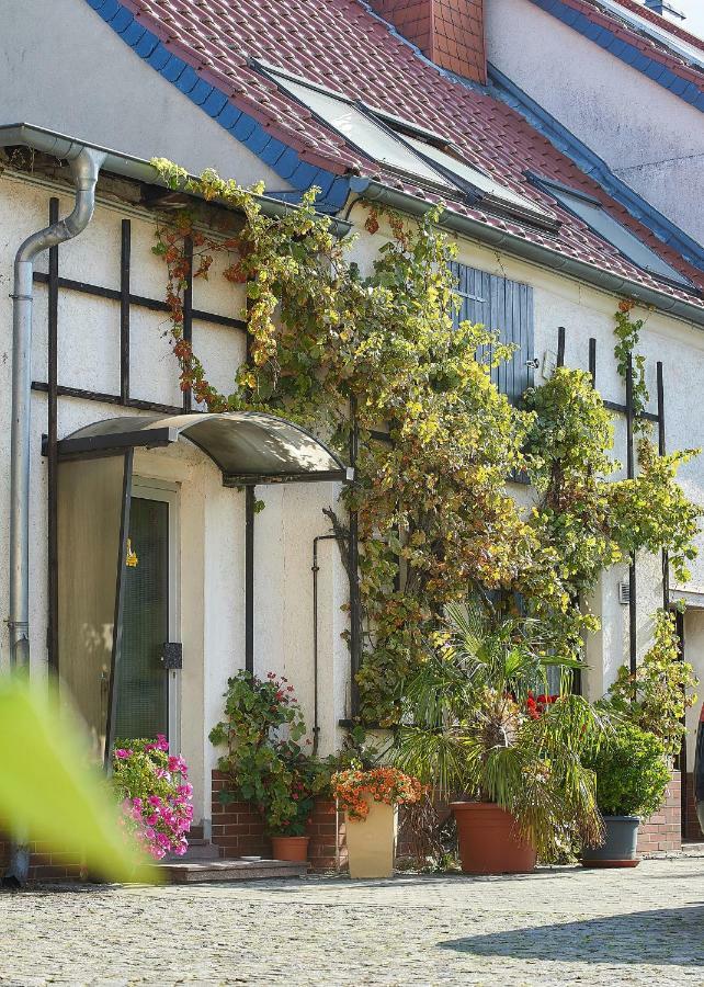 Reiterhof Wollnau Apartment Exterior foto